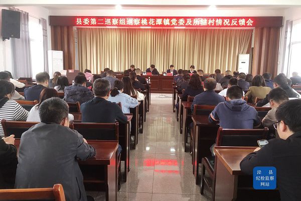 十四届县委第五轮巡察第二巡察组向 桃花…